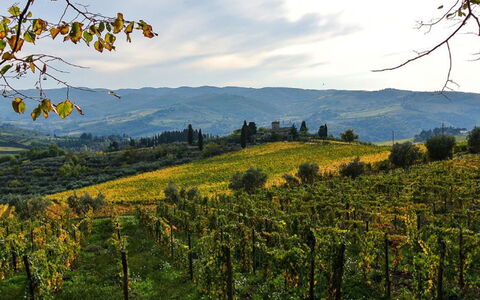 Greve in Chianti 951: Montagnes Relief, Vert, Colline, Paysage Naturel, Végétation, Montagne, Montagnes, Paysage, Agriculture, Zone Rurale