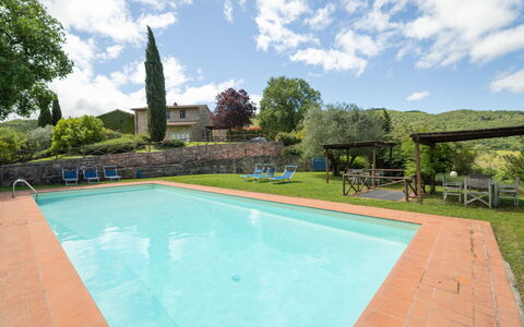 Greve in Chianti 951: Hacienda, Piscine, Biens, Jardin, Ferme, Eco Hôtel, Aménagement Paysager, Villa