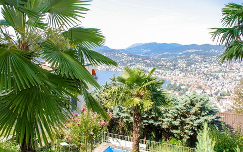 Aldesago 525: Arbre, Végétation, Palmier, Arecales, Palm Desert, Plante, Elaeis, Suppression Des Plantes Ligneuses, Tropiques, Botanique