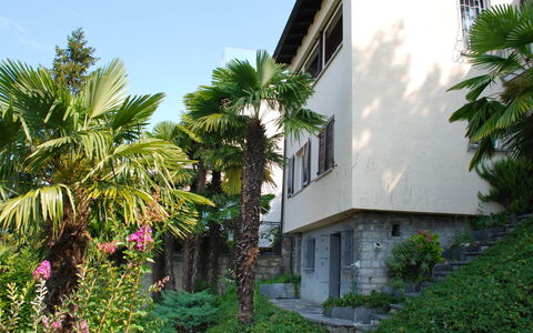 Aldesago 525: Plante, Bâtiment, Ciel, Fenêtre, Fleur, Arbre, Arecales, Maison, Terrestre Des Plantes, Paysage
