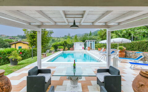 Al Melo: L'Eau, Plante, Propriété, Piscine, Ombre, Mobilier De Jardin, Fenêtre, Design Intérieur, Arbre, Bâtiment