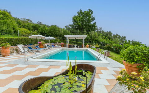 Al Melo: Plante, L'Eau, Ciel, Bâtiment, Piscine, Mobilier De Jardin, Arbre, Ombre, Parapluie, Loisir