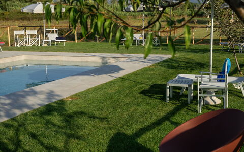 Incanto Toscano: Plante, L'Eau, Meubles, Chaise, Ombre, Mobilier De Jardin, Botanique, Arbre, Lot Terre, Herbe