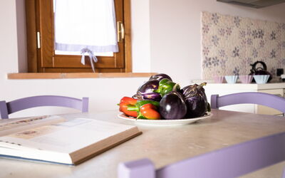 Logement:&nbsp;Viola