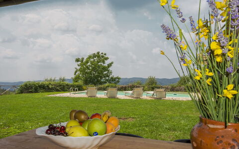 Villa la Piaggia: Jaune, Fleur, Herbe, Printemps, Plante, Pot De Fleur, Prairie, Wildflower, Paysage, Aménagement Paysager