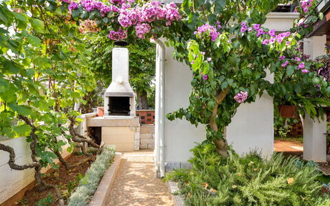 Vir 119: Fleur, Plante, Propriété, Bâtiment, Pétale, Végétation, Architecture, Arbuste, Immobilier, Façade