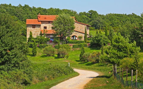 Gaiole in Chianti 880: Plante, Ciel, Bâtiment, Paysage Naturel, Lot Terre, Maison, Arbre, Chalet, Herbe, Arbuste