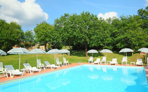 Gaiole in Chianti 880: L'Eau, Nuage, Ciel, Plante, Meubles, Piscine, Parapluie, Chaise, Arbre, Mobilier De Jardin