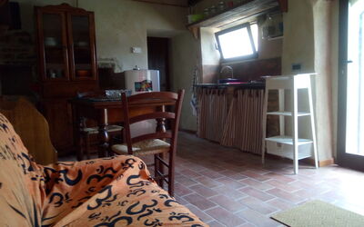 Cotoneaster: Pièce, Propriété, Sol, Meubles, Bâtiment, Design Intérieur, Maison, Dur, Domicile, Immobilier