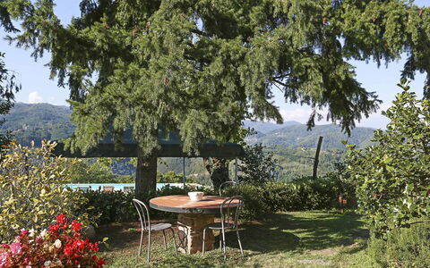 La Castagnara: Propriété, Arbre, Immobilier, Maison, Table, Chalet, Suppression Des Plantes Ligneuses, Plante, Jardin, Bâtiment