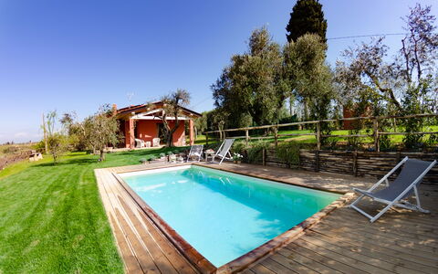 Ai Salici: Piscine, Propriété, Immobilier, Maison, Biens, Domicile, Herbe, Loisir, Arrière-Cour, Bâtiment