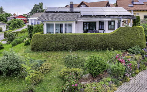 Nest: Plante, Propriété, Bâtiment, Ciel, Communauté Des Plantes, Fenêtre, Fleur, Lot Terre, Végétation, Herbe