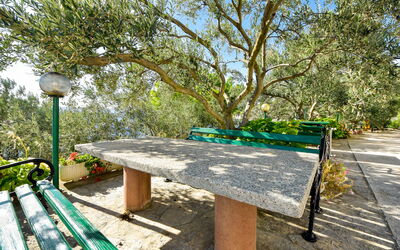 Starigrad-Paklenica 303