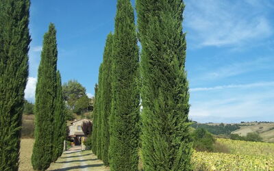 Podere Agnese