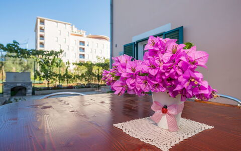 Adriana: Rose, Fleur, Pot De Fleur, Bouquet, Plante, Violet, Fleurs De Coupe, Art Floral, Arbre