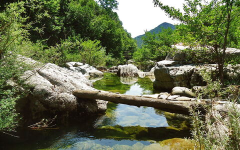 Il Casale: Plan D'Eau, Ressources En Eau, Paysage Naturel, Riparienne, Réserve Naturelle, Cours D'Eau, La Nature, Végétation, Courant, L'Eau