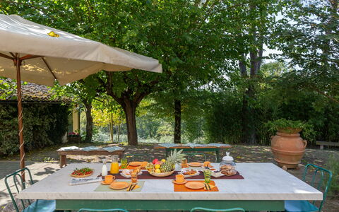 Casa La Rotta: Table, Arrière-Cour, Patio, Meubles, Immobilier, Arbre, Loisir, Restaurant, Bâtiment, Maison