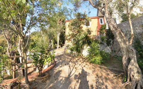 Collina Lagomare: Propriété, Arbre, Immobilier, Maison, Route, Plante, Bâtiment, Communauté Des Plantes, Paysage, Biens