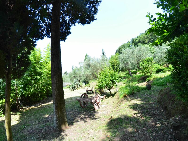 Collina Lagomare