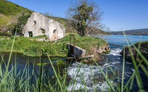 Klen 2: Plan D'Eau, L'Eau, Paysage Naturel, La Nature, Végétation, Vert, Herbe, Côte, Mer, Banque