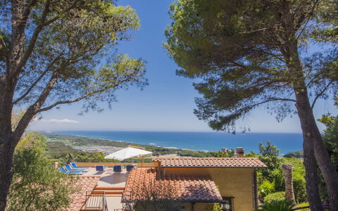 Von Salis: Ciel, Plante, Bâtiment, Jour, Communauté Des Plantes, La Nature, Bleu Azur, Arbre, Maison, Ombre