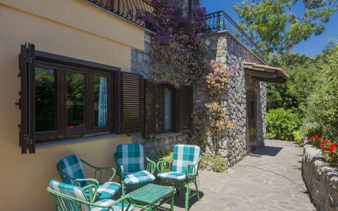 Von Salis: Plante, Propriété, Bâtiment, Ciel, Fenêtre, Bleu Azur, Mobilier De Jardin, Ombre, Chaise, Arbre
