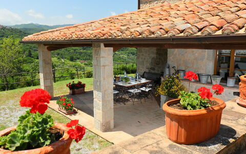 Podere dei Venti: Propriété, Patio, Bâtiment, Arrière-Cour, Aménagement Paysager, Pergola, Immobilier, Cour, Paysage, Jardin