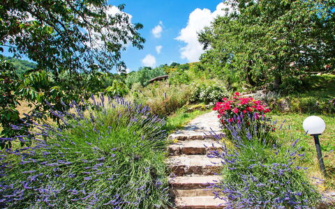Arcidosso 800: Jardin, Végétation, Passerelle, Fleur, Jardin Botanique, Plante, Paysage Naturel, Réserve Naturelle, Botanique, Herbe