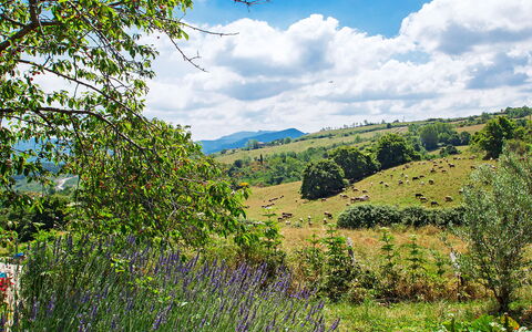 Arcidosso 800: Paysage Naturel, La Nature, Végétation, Réserve Naturelle, Environnement Naturel, Région Sauvage, Arbre, Colline, Ciel, Prairie