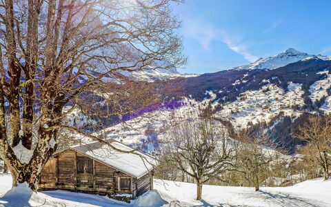 Chalet Hobelbank: Neige, L'Hiver, Branche, La Nature, Montagnes Relief, Montagne, Paysage Naturel, Paysage, Glacial Relief, Chaîne De Montagnes
