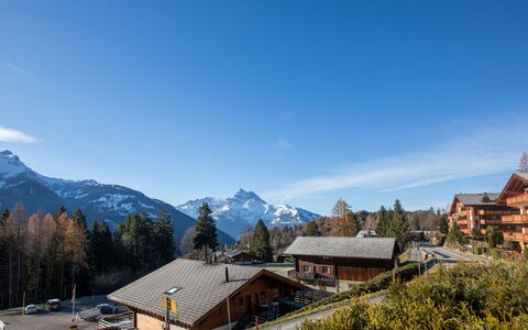 Le Schuss 1: Arbre, Montagnes Relief, Montagne, Maison, Chaîne De Montagnes, Station De Montagne, Domicile, Vallée, Chalet, Pente
