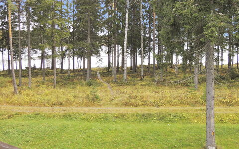 Purnuranta B: Bois, Chalet, Cabane En Rondins, Forêt, Cabanon, Batiments Jardin, Mélèze, Des Bois, Tache De Bois