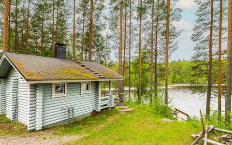 Kainalolahti: Arbre, Chalet, Maison, Forêt, Des Bois, Zone Rurale, Cabane En Rondins, Mélèze, Réserve Naturelle