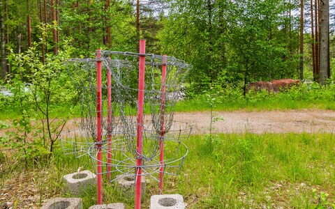 Kainalolahti: Communauté Des Plantes, Couverture De Sol, Forêt, Des Bois, Bosquet, Jardin, Sol, Parc