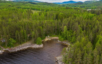 Kainalolahti