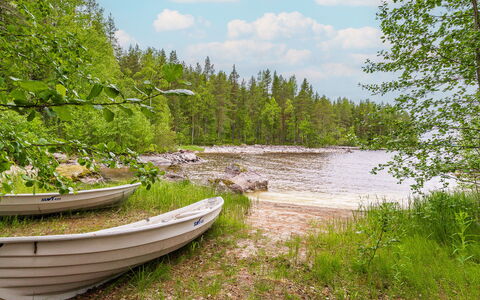 Kainaloranta: L'Eau, Ressources En Eau, Plan D'Eau, Vert, Arbre, La Nature, Environnement Naturel, Végétation, Paysage Naturel