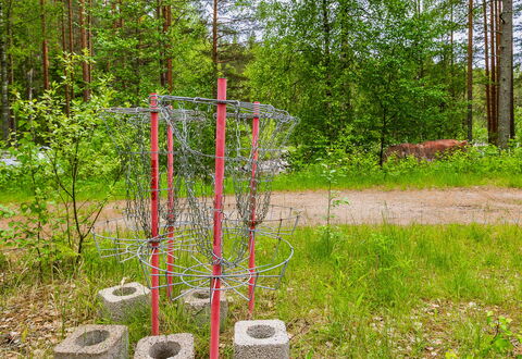 Kainaloranta: Communauté Des Plantes, Couverture De Sol, Forêt, Des Bois, Bosquet, Jardin, Sol, Parc