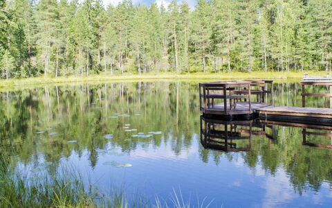 Otsopirtti, Maria: Arbre, Banque, Maison, Chalet, Lac, Étang, Forêt, Cabane En Rondins