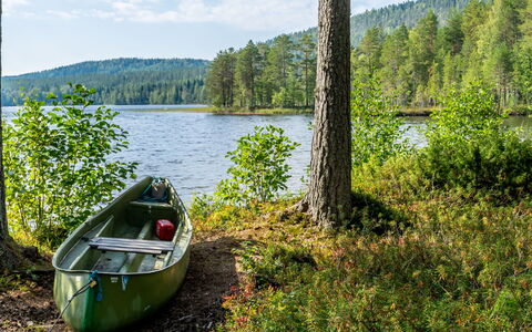 Hiisiranta B3: Bois, Chalet, Cabane En Rondins, Forêt, Cabanon, Batiments Jardin, Mélèze, Des Bois, Tache De Bois