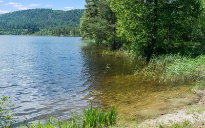 Loma-Koli 1