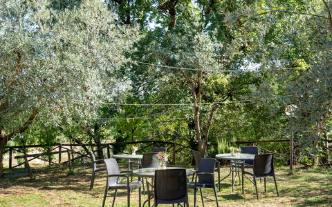 Poggio Cuccule: Plante, Table, Communauté Des Plantes, Arbre, Ombre, Paysage Naturel, Végétation, Mobilier De Jardin, Herbe, Suppression Des Plantes Ligneuses