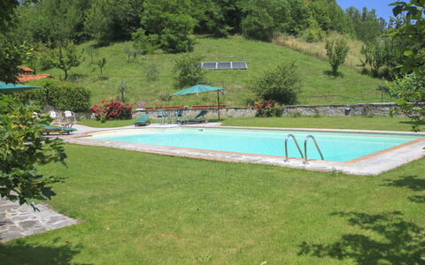 Tara: Piscine, Propriété, Herbe, Paysage Naturel, Loisir, L'Eau, Pelouse, Lot Terre, Maison, Immobilier