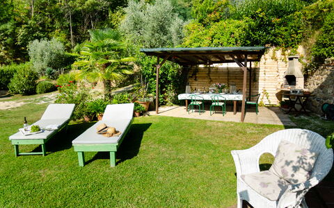 Podere L'istrice: Propriété, Arrière-Cour, Cour, Maison, Herbe, Jardin, Meubles, Pelouse, Aménagement Paysager, Patio