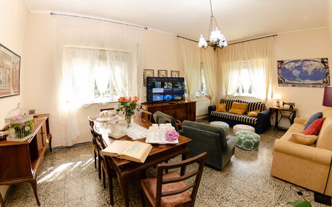 Villa Elisa: Pièce, Salon, Propriété, Design Intérieur, Meubles, Bâtiment, Immobilier, Domicile, Maison, Table