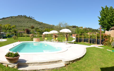 Al Vecchio Pozzo: Piscine, Propriété, Immobilier, Biens, Maison, Herbe, Bâtiment, Zone Résidentielle, Domicile, Villa