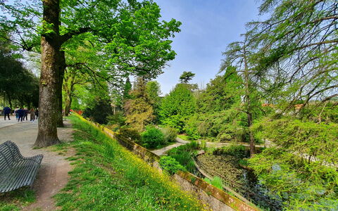 Casina Bella Di Lucca: Feuille, Végétation, Arbuste, Couverture De Sol, Jardin, Suppression Des Plantes Ligneuses, Piste, Passerelle, Jardin Botanique, Des Bois