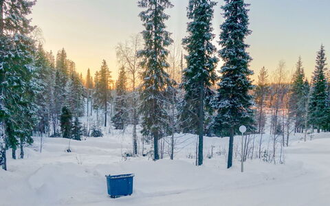 Ruka-Ihtinki 4 a 3: Neige, L'Hiver, Branche, Arbre, Environnement Naturel, Forêt, Paysage, Gelé, Gel
