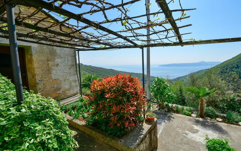 Stefi: Jardin, Végétation, Botanique, Biome, Ciel, Jardin Botanique, Plante, Printemps, Arbre, Architecture