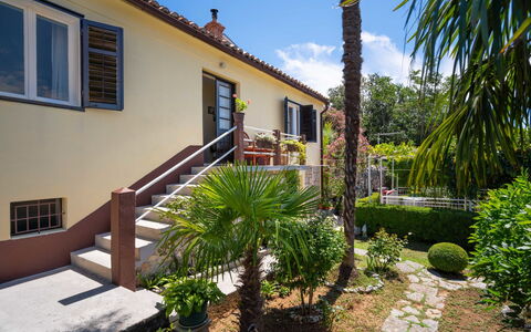 Jelena: Propriété, Maison, Immobilier, Bâtiment, Domicile, Zone Résidentielle, Biens, Cour, Arrière-Cour, Arbre