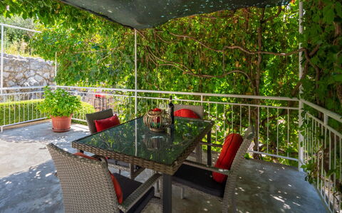Jelena: Vert, Propriété, Table, Pièce, Meubles, Herbe, Arbre, Plante, Maison, Architecture